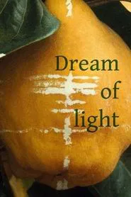 Dream of Light movie poster