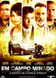 Poster do filme Em Campo Minado