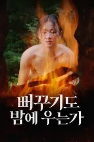 Shall Cuckoo Sing at Night movie poster