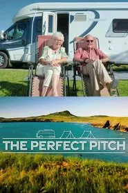 The Perfect Pitch tv show poster