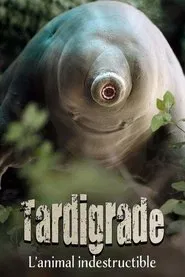 Tardigrade, l'animal indestructible movie poster