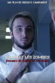 Poster do filme Shaun et les zombies
