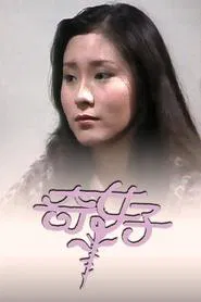 Enigma tv show poster