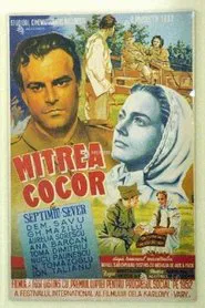 Poster do filme Mitrea Cocor