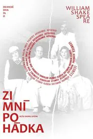 Poster do filme Zimní pohádka
