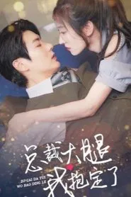 总裁大腿我抱定了 tv show poster