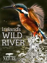 Ireland's Wild River movie poster