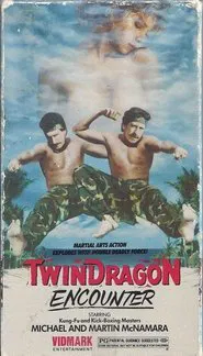 Twin Dragon Encounter movie poster
