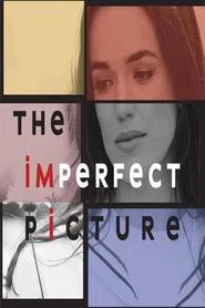 The Imperfect Picture movie poster