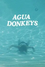 Agua Donkeys movie poster