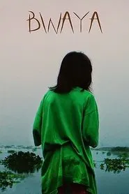Poster do filme Crocodile