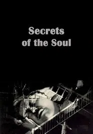Poster do filme Secrets of the Soul