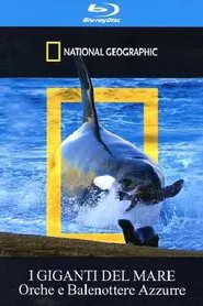 Orca Killing School movie poster