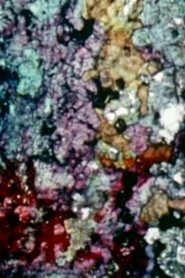 Le tombeau d'Aphrodite - Version 2 movie poster