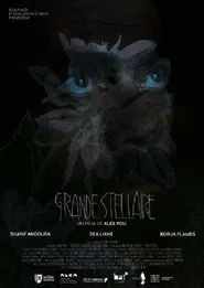 Grande Stellaire movie poster