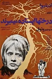 Trees Die Standing movie poster