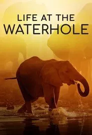 Life at the Waterhole tv show poster
