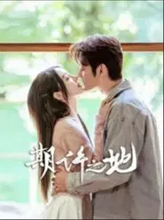 期许之地 tv show poster