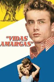 Poster do filme Vidas Amargas