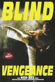 Blind Vengeance movie poster