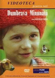 The Enchanted Grove movie poster
