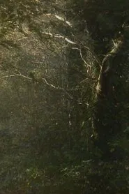 The Secluded Grove movie poster