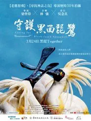 Caring for Black-Faced Spoonbill movie poster