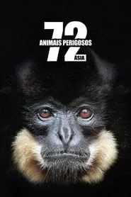 Poster da série 72 Animais Perigosos: Ásia