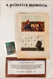 Poster do filme A primeira memória