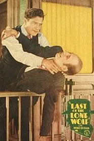 The Last of the Lone Wolf movie poster