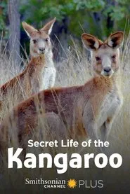Secret Life of the Kangaroo tv show poster