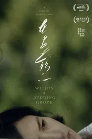 Within a Budding Grove movie poster