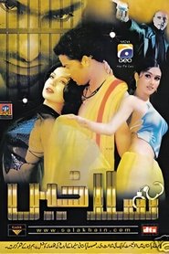 Salakhain movie poster