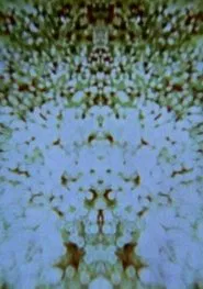 Mote It Be movie poster