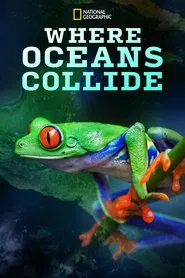 Where Oceans Collide movie poster