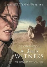 A 2nd Witness movie poster