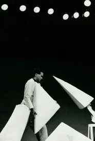 Solide Salad movie poster