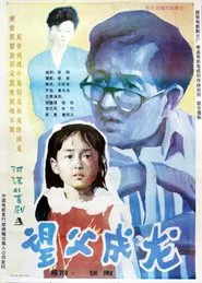 Poster do filme 望父成龙