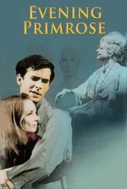 Evening Primrose movie poster