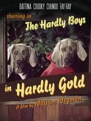 The Hardly Boys in Hardly Gold movie poster