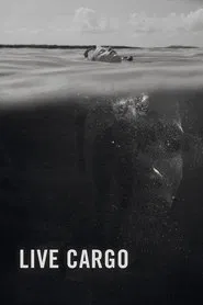 Poster do filme Live Cargo