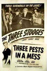 Three Pests in a Mess movie poster