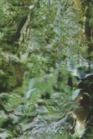 Untitled 3 (I withdraw.) movie poster