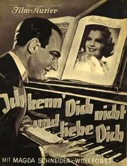 I Don't Know You and I Love You movie poster