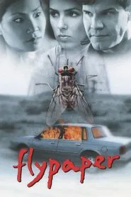 Flypaper movie poster