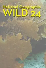Wild 24 tv show poster