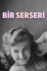 Bir Serseri movie poster