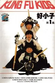 好小子 movie poster