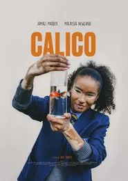 Poster do filme CALICO