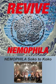 NEMOPHILA Soko to Koko movie poster